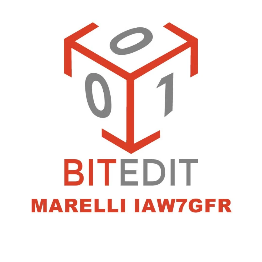 BitEdit Module Marelli IAW7GFR